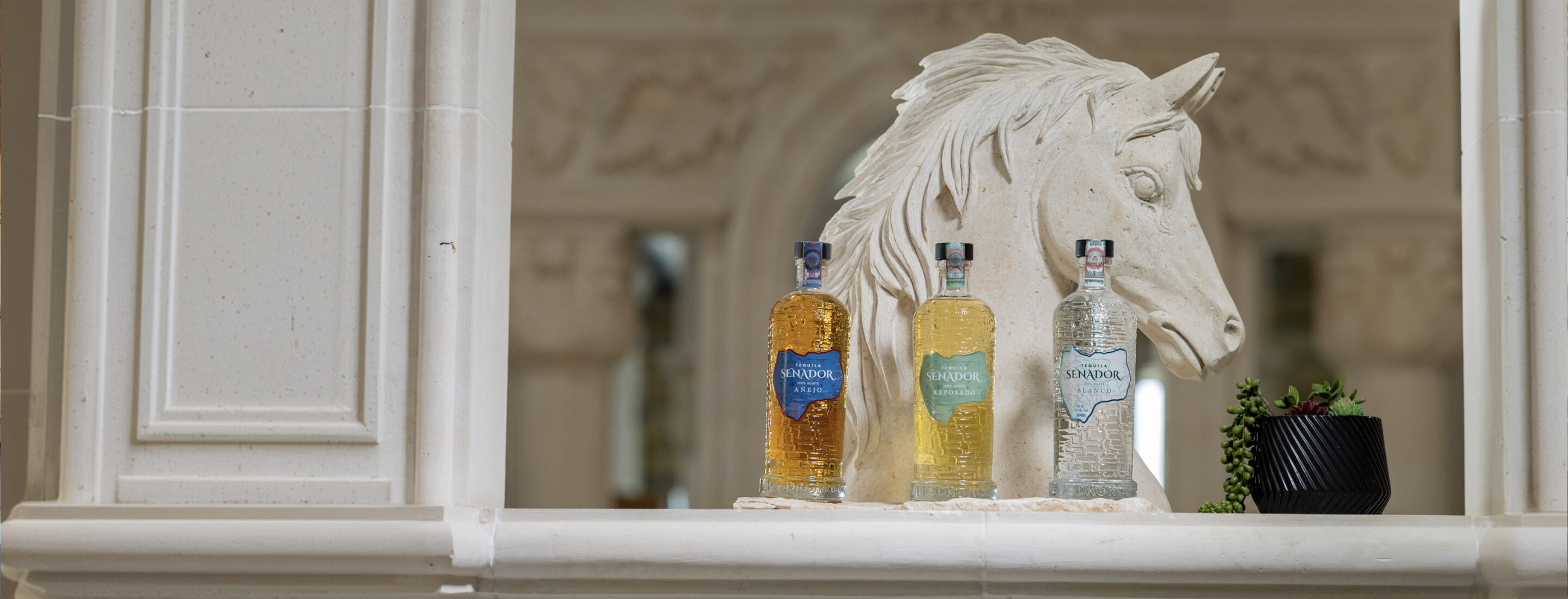 The Foundation 15 A carved limestone horse head beside Senador bottles on a stone ledge