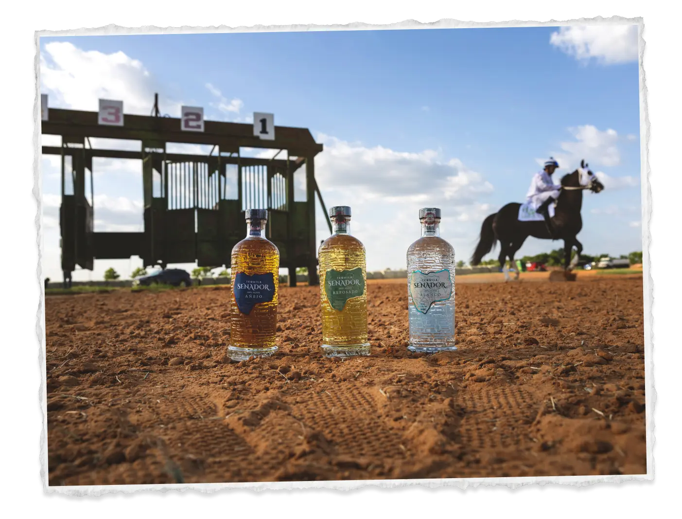 Three Senador bottles in the dirt in front of the starting gates, a jockey riding past