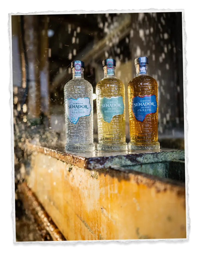 Senador Blanco, Reposado and Añejo on a weathered ledge under falling water